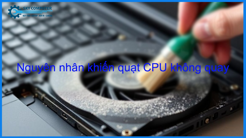 Quat-cpu-khong-quay-co-phai-da-hong2