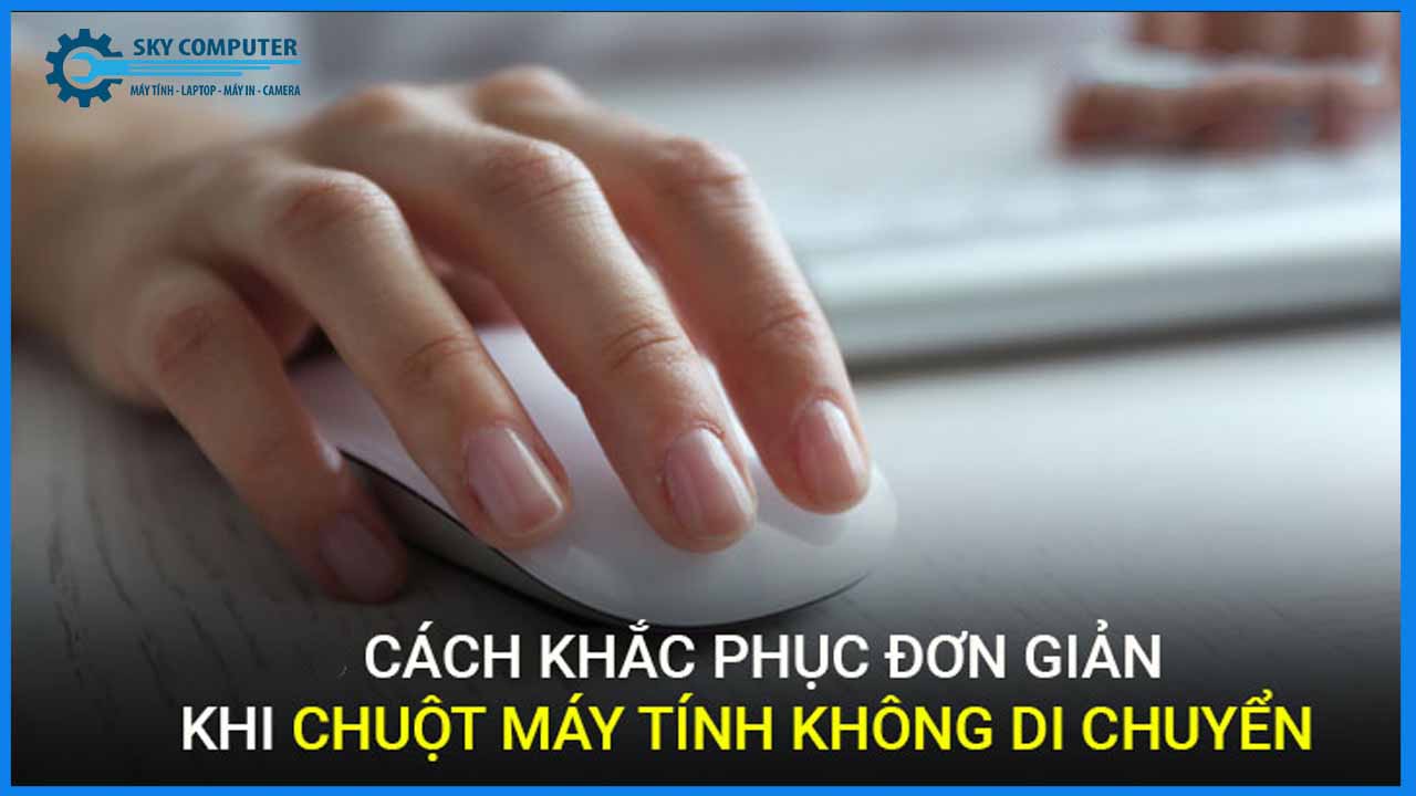 Suachuamaytinhdanang.com- 28