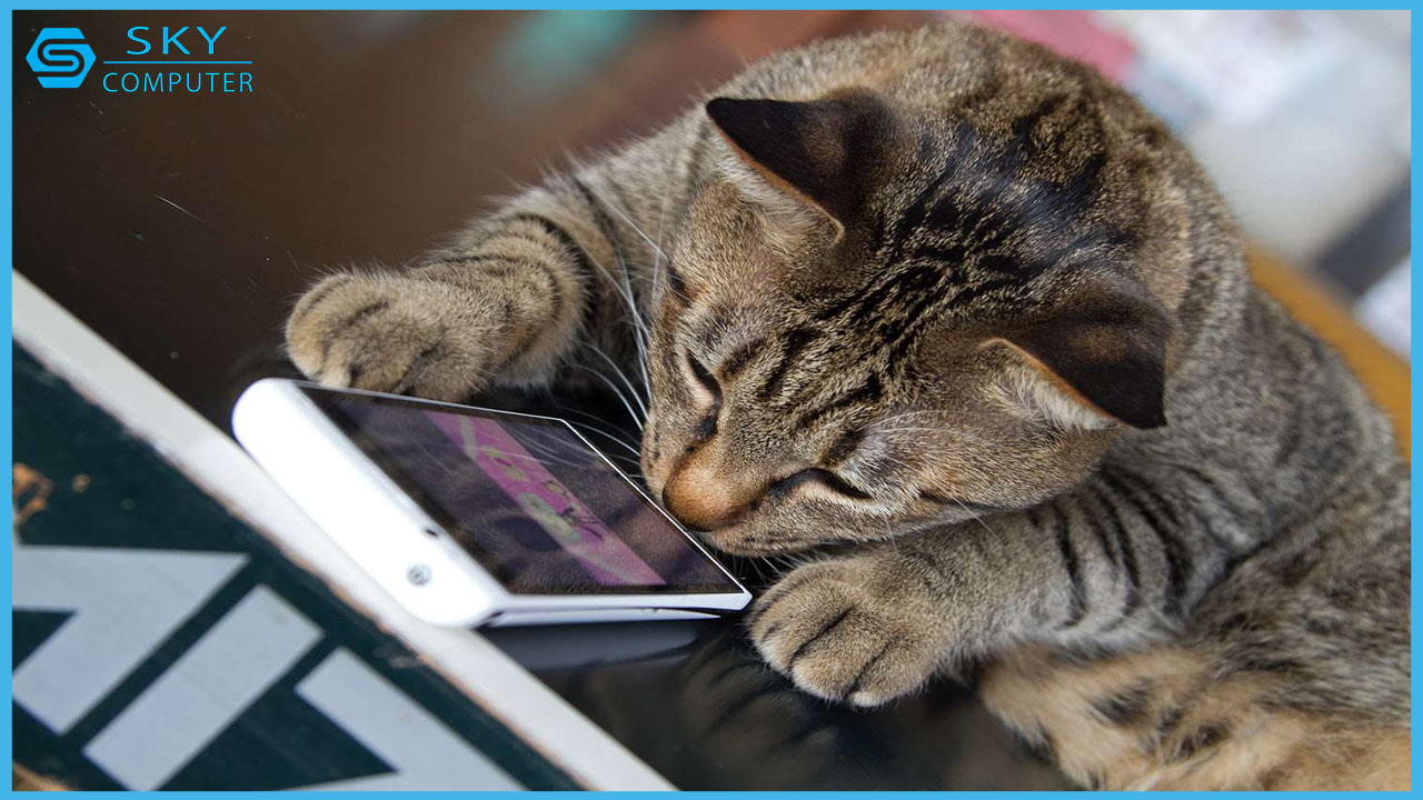 xuat-hien-ai-dich-duoc-tieng-dong-vat-giup-con-nguoi-va-thu-nuoi-hieu-duoc-nhau-hon-1