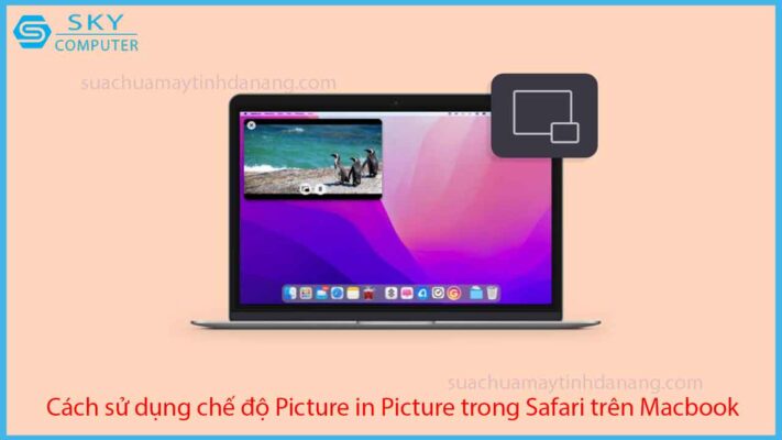 cach-su-dung-che-do-picture-in-picture-trong-safari-tren-macbook