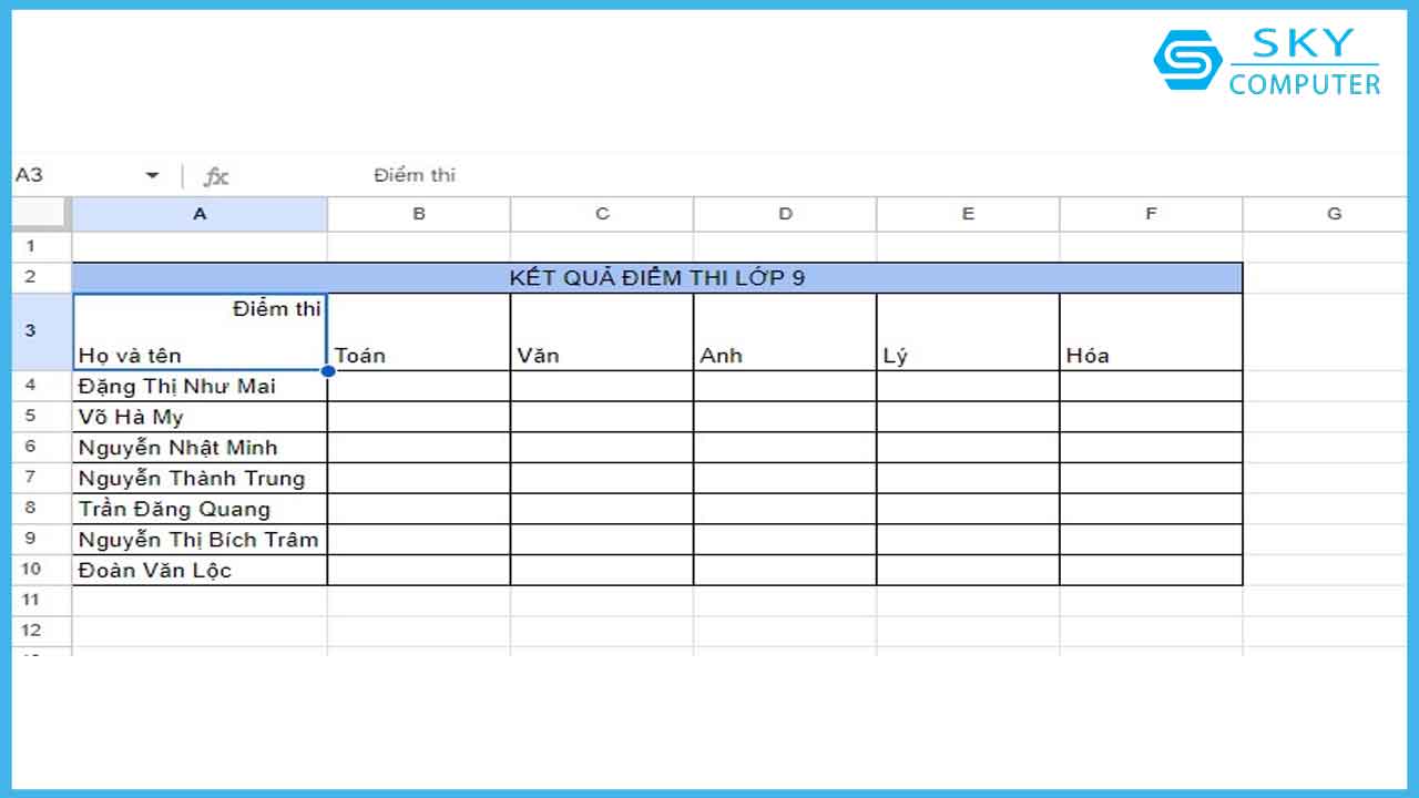 cach-tao-duong-gach-cheo-o-trong-google-sheet-de-phan-chia-tieu-de-hang-va-cot_3