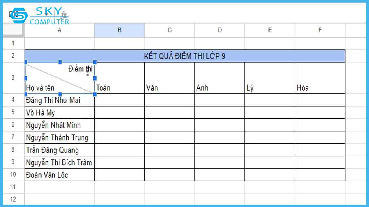 cach-tao-duong-gach-cheo-o-trong-google-sheet-de-phan-chia-tieu-de-hang-va-cot_9
