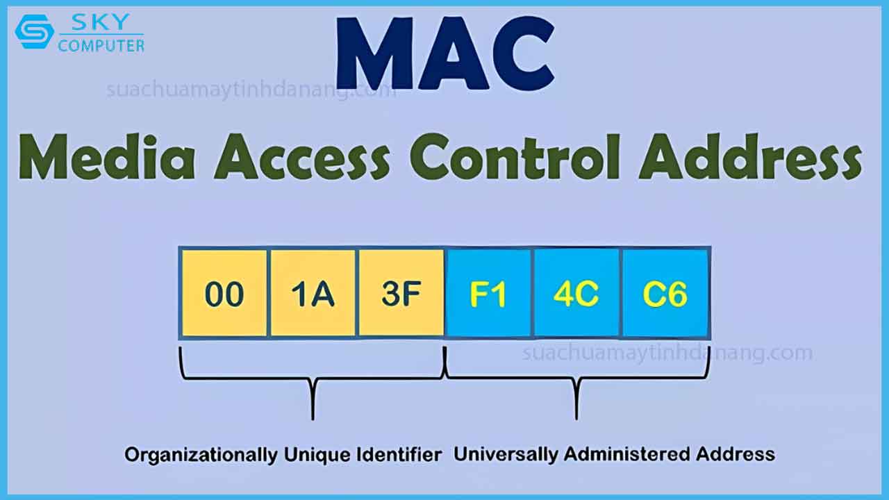 dia-chi-mac-la-gi-cach-kiem-tra-hoat-dong-cua-dia-chi-mac