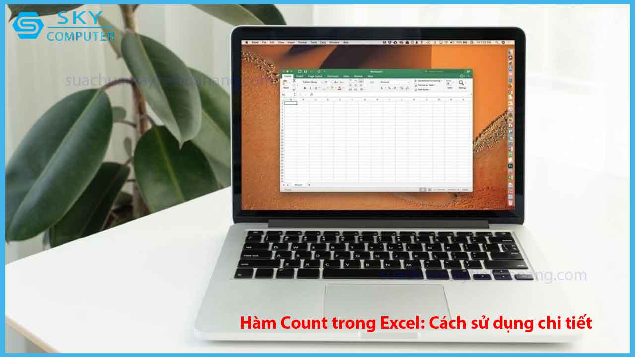 ham-count-trong-excel-cach-su-dung-chi-tiet-2