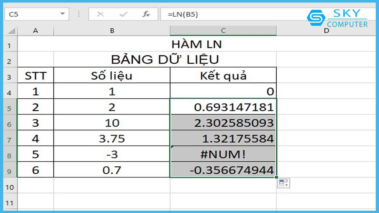 ham-ln-trong-excel-la-gi-ham-tinh-logarit-tu-nhien-nhanh-chong-va-chinh-xac_7