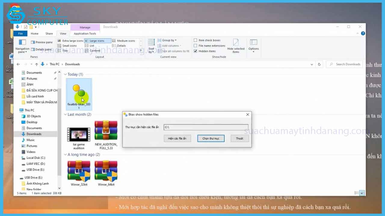 huong-2-cach-hien-file-an-win-10-nhanh-va-de-thuc-hien