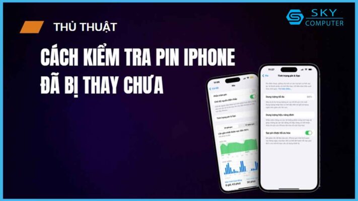 huong-dan-cach-kiem-tra-pin-iphone-da-bi-thay-chua-mot-cach-nhanh-chong_1