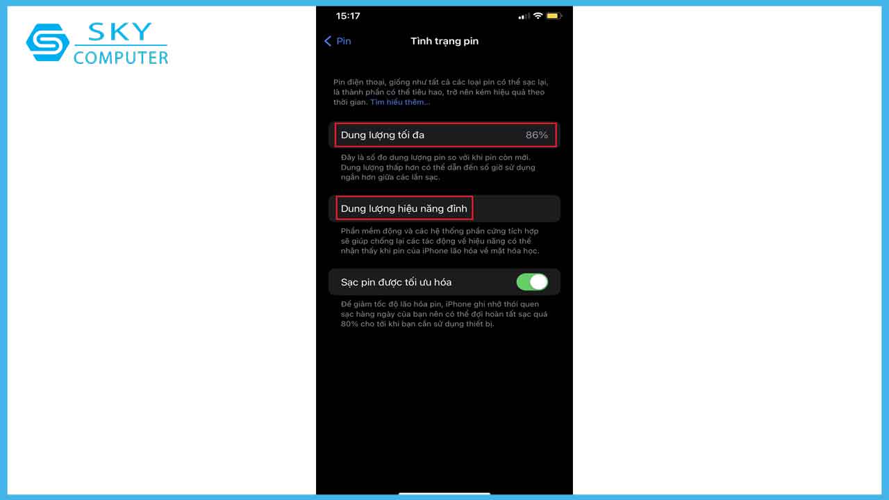 huong-dan-cach-kiem-tra-pin-iphone-da-bi-thay-chua-mot-cach-nhanh-chong_4