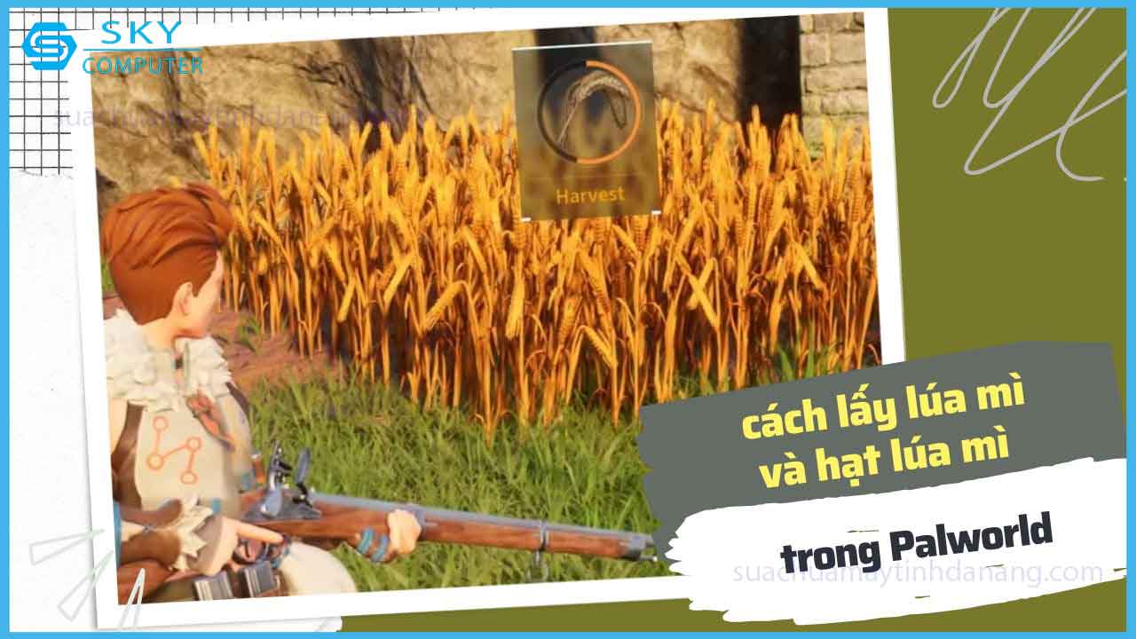 huong-dan-cach-lay-lua-mi-va-hat-lua-mi-trong-palworld