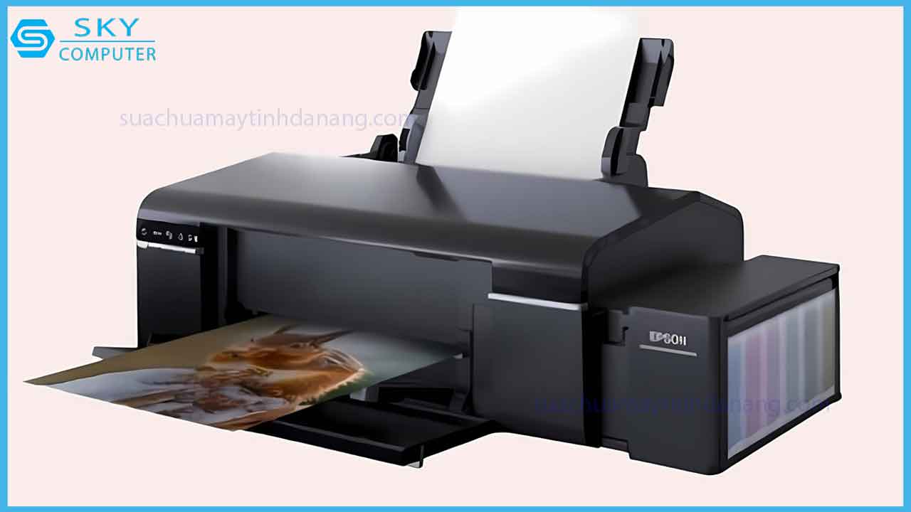 huong-dan-download-driver-may-in-epson-l805-nhanh-chong