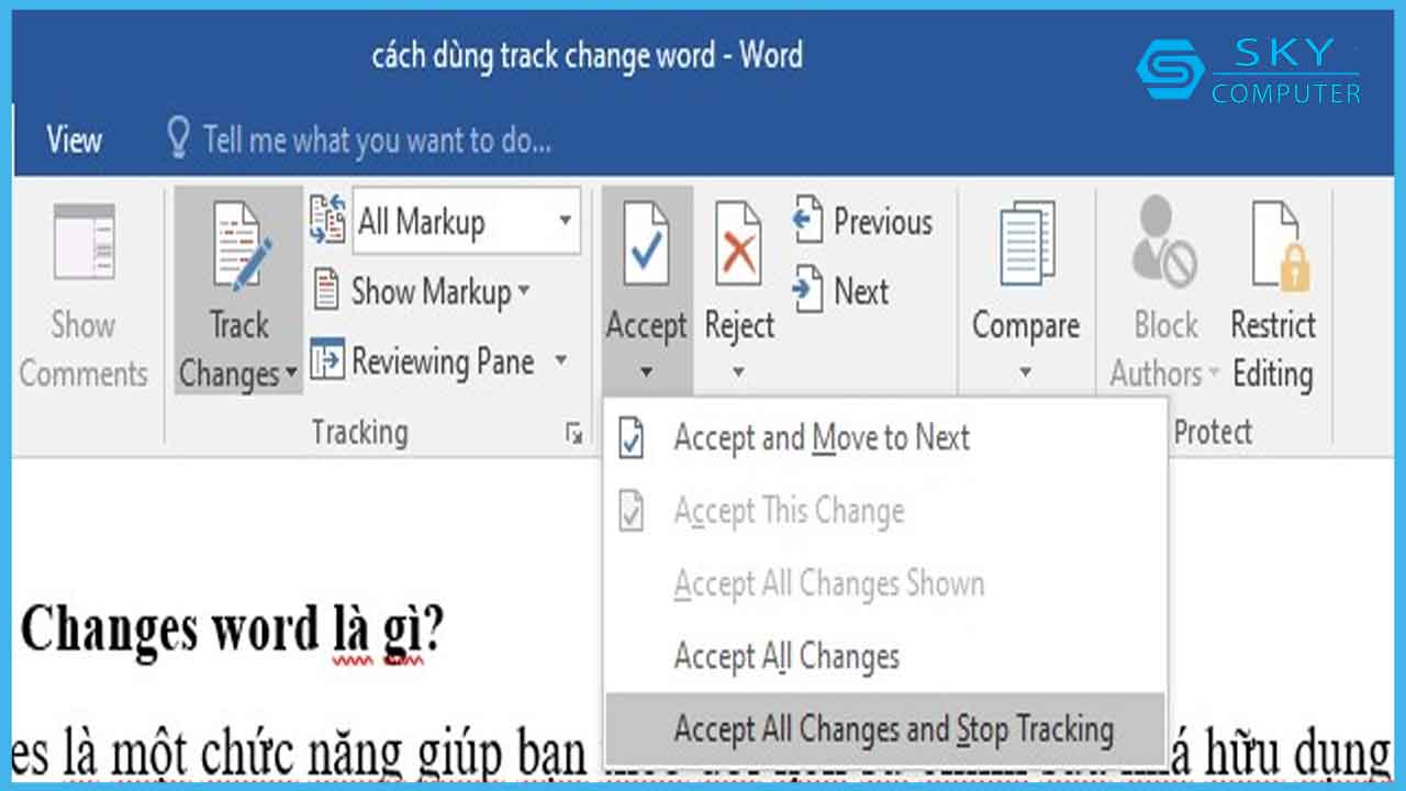huong-dan-su-dung-track-change-word-mot-cach-day-du-nhat_4