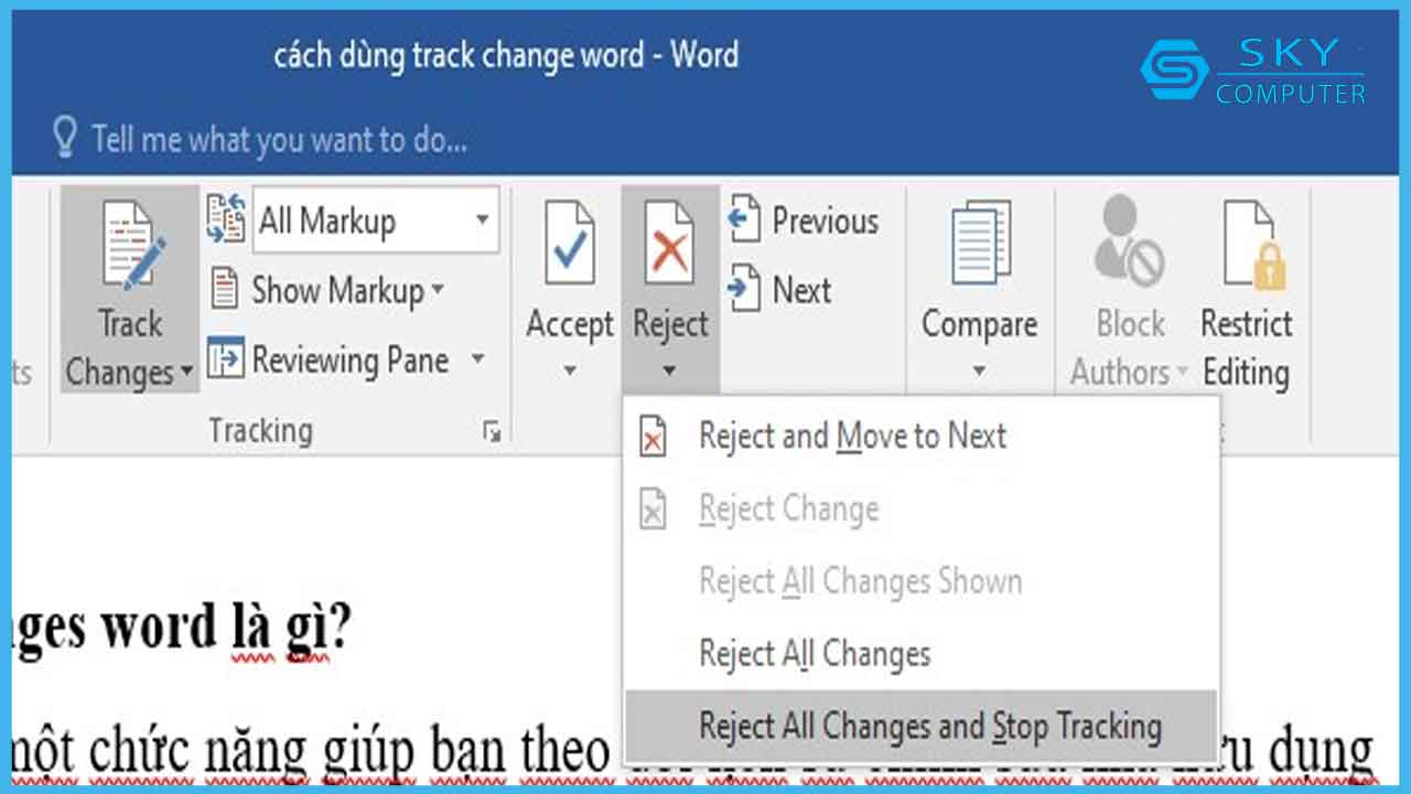 huong-dan-su-dung-track-change-word-mot-cach-day-du-nhat_5