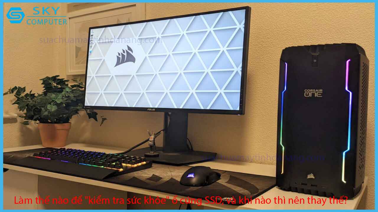 lam-the-nao-de-kiem-tra-suc-khoe-o-cung-ssd-va-khi-nao-thi-nen-thay-the