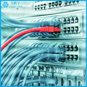 sua-chua-cong-ket-noi-may-tinh-ethernet-qsf_1