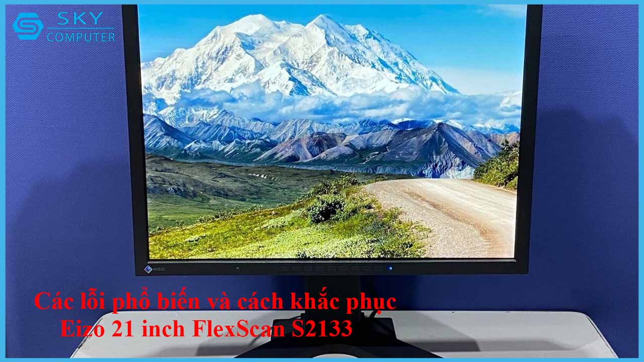 sua-chua-man-hinh-eizo-21-inch-flexscan-s2133-2.jpg
