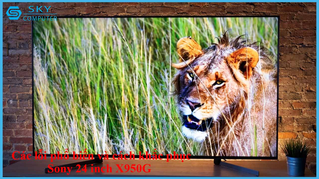 sua-chua-man-hinh-sony-24-inch-x950g-2.jpg 