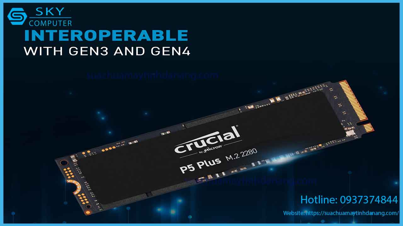 sua-chua-o-cung-micron-crucial-p5-2tb-2