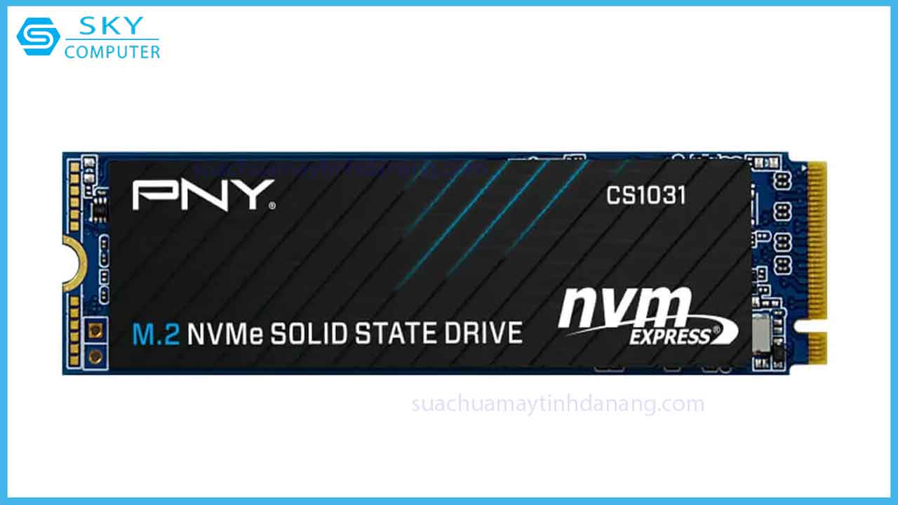 sua-chua-o-cung-ssd-pny-cs1031-500gb-m-2-nvme-pcie-gen3x4-3