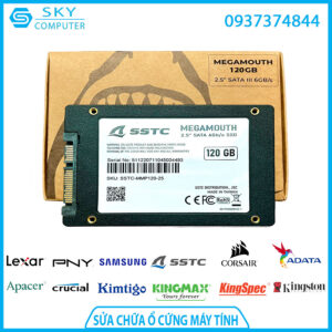 sua-chua-o-cung-ssd-sstc-megamouth-128gb-m-2-sata-iii-3