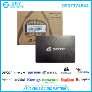 sua-chua-o-cung-ssd-sstc-megamouth-1tb-pcie-3