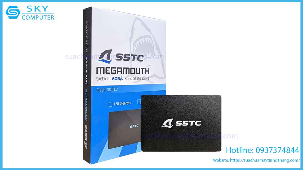 sua-chua-o-cung-ssd-sstc-megamouth-256gb-m-2-sata-iii-2