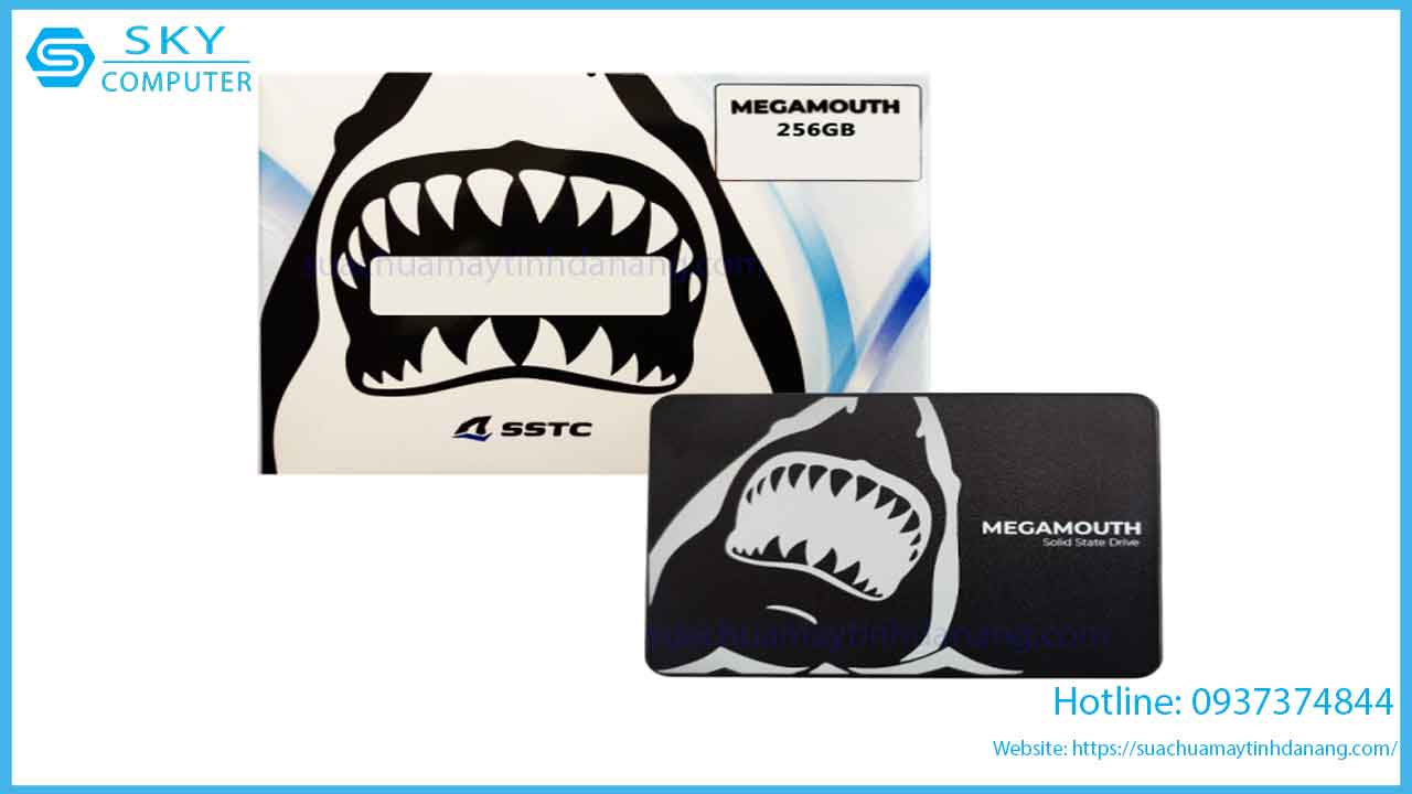 sua-chua-o-cung-ssd-sstc-megamouth-256gb-pcie-2