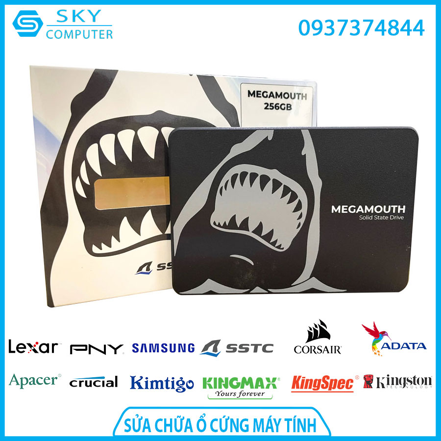 sua-chua-o-cung-ssd-sstc-megamouth-256gb-pcie-3 sua-chua-o-cung-ssd-sstc-megamouth-256gb-pcie-3