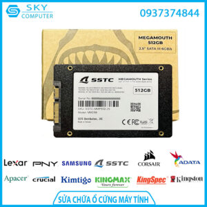 sua-chua-o-cung-ssd-sstc-megamouth-512gb-m-2-sata-iii-3