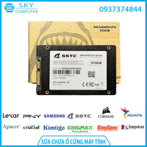 sua-chua-o-cung-ssd-sstc-megamouth-512gb-pcie-3