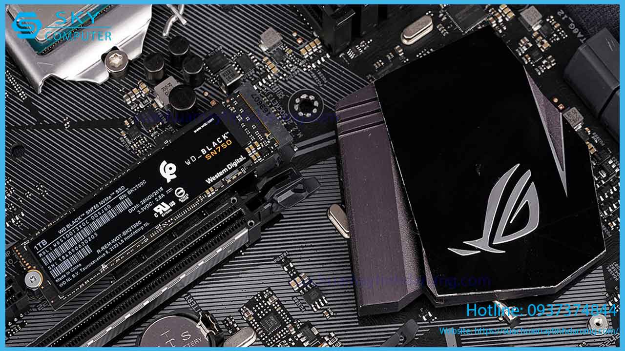 sua-chua-o-cung-western-digital-black-sn750-1tb-1