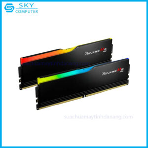 sua-chua-ram-gskill-ddr5-16gb-rgb-den