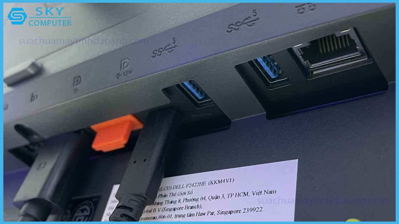 top-5-man-hinh-do-hoa-gia-re-chat-luong-cho-dan-thiet-ke-trong-nam-2024-4