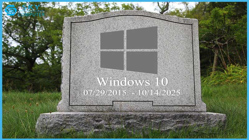 3-ly-do-ban-nen-nang-cap-windows-10-len-windows-11-ngay-tu-bay-gio-1