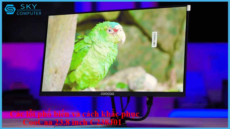 sua-chua-man-hinh-coocaa-23-8-inch-c238j01-2.jpg