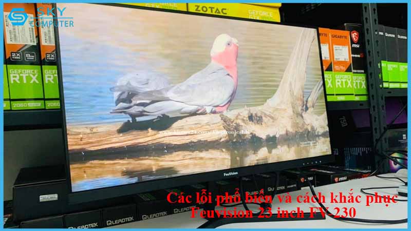 sua-chua-man-hinh-feuvision-23-inch-fv-230-2.jpg