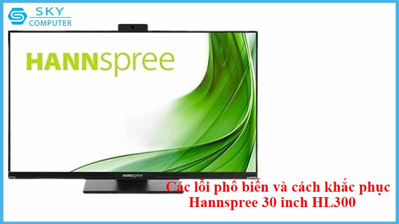 sua-chua-man-hinh-hannspree-30-inch-hl300-2.jpg