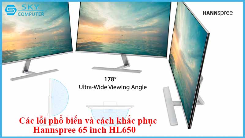 sua-chua-man-hinh-hannspree-65-inch-hl650-2.jpg