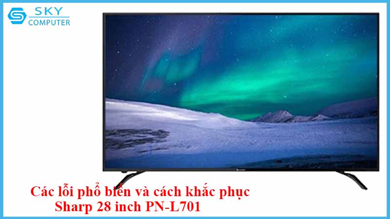sua-chua-man-hinh-sharp-28-inch-pn-l701-2.jpg 
