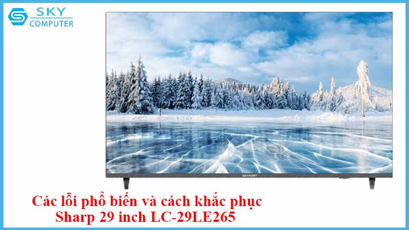 sua-chua-man-hinh-sharp-29-inch-lc-29le265-2.jpg