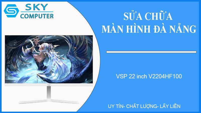 sua-chua-man-hinh-vsp-22-inch-v2204hf100-1