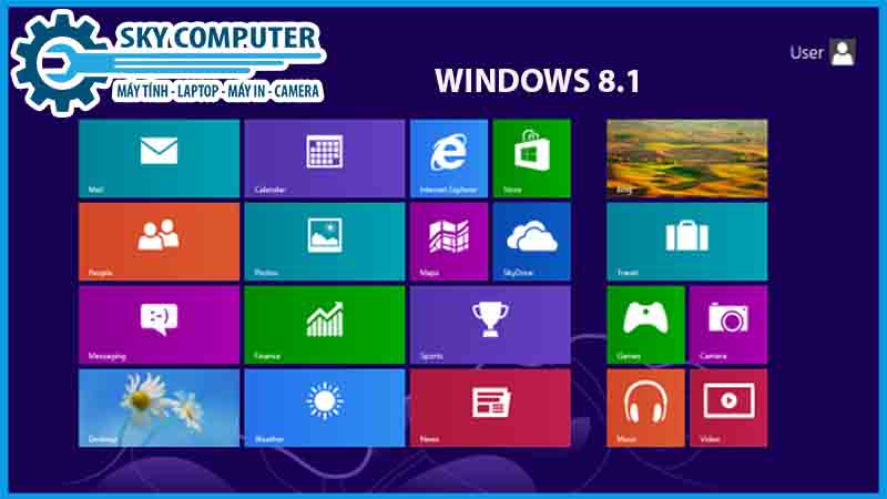 dich-vu-cai-dat-he-dieu-hanh-windows-8-1-1