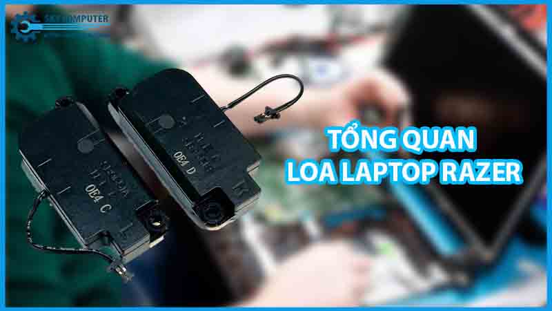 dich-vu-sua-chua-loa-laptop-razer-2