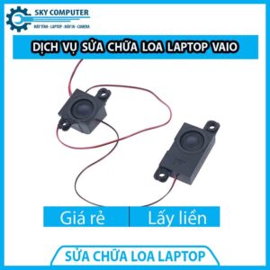 dich-vu-sua-chua-loa-laptop-vaio-0