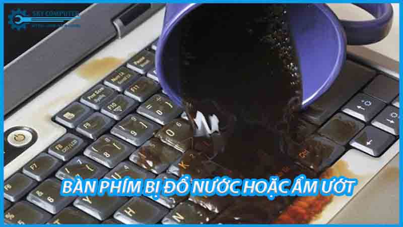 dich-vu-thay-ban-phim-laptop-clevo-2