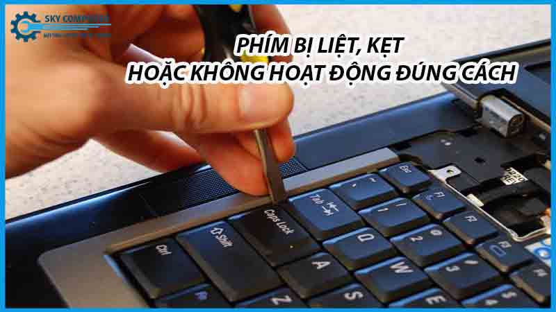 dich-vu-thay-ban-phim-laptop-sager-2