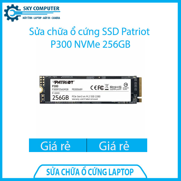 sua-chua-o-cung-ssd-patriot-p300-nvme-256gb-1