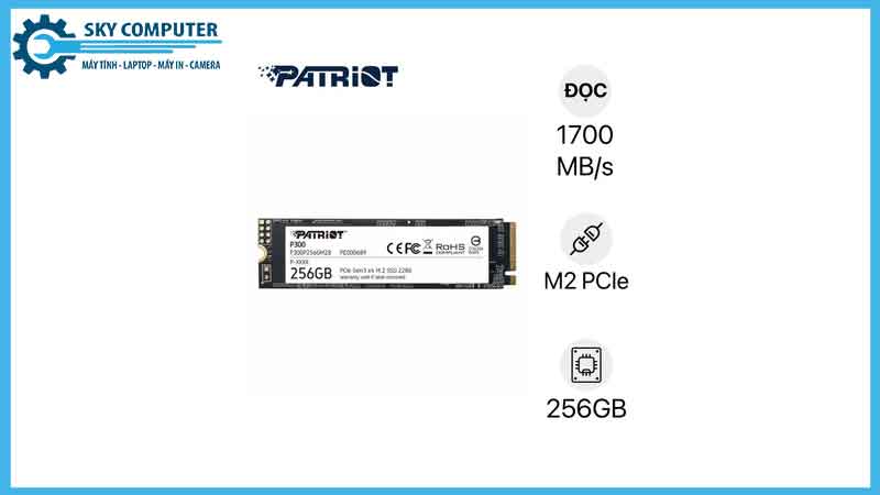 sua-chua-o-cung-ssd-patriot-p300-nvme-256gb-2