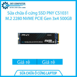sua-chua-o-cung-ssd-pny-cs1031-m-2-2280-nvme-pcie-gen-3x4-500gb-1