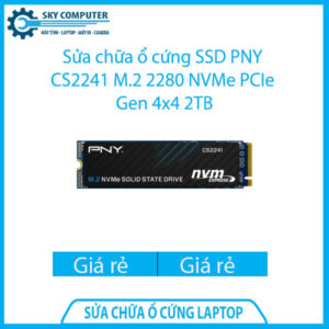 sua-chua-o-cung-ssd-pny-cs2241-m-2-2280-nvme-pcie-gen-4x4-2tb-1