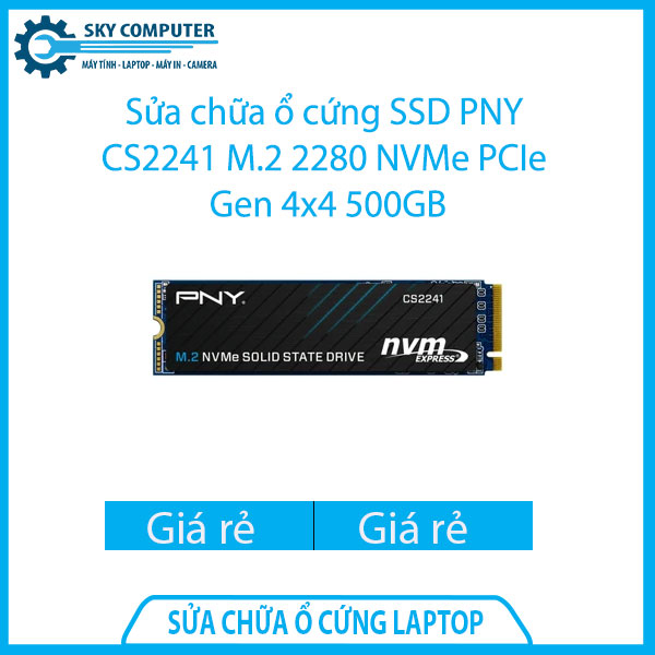 sua-chua-o-cung-ssd-pny-cs2241-m-2-2280-nvme-pcie-gen-4x4-500gb-1